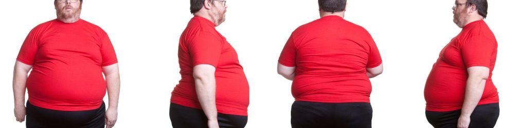 The truth behind the bulge: The role of obesogens in&nbsp;obesity