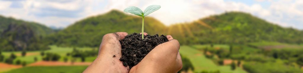 Embracing Sustainability: The Role of Good Agricultural Practices in India’s Spice&nbsp;Sector