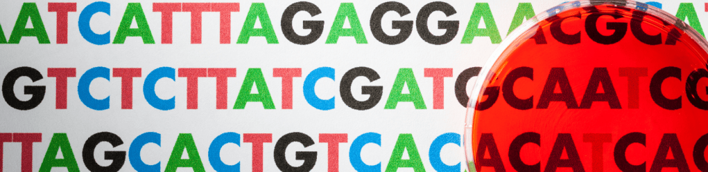Beyond the genome: Unveiling human genetic diversity through the ‘Pangenome’
