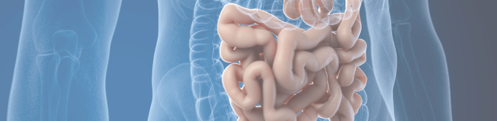 Lost species and vanishing microbes: The impact of industrialisation on our gut&nbsp;microbiome